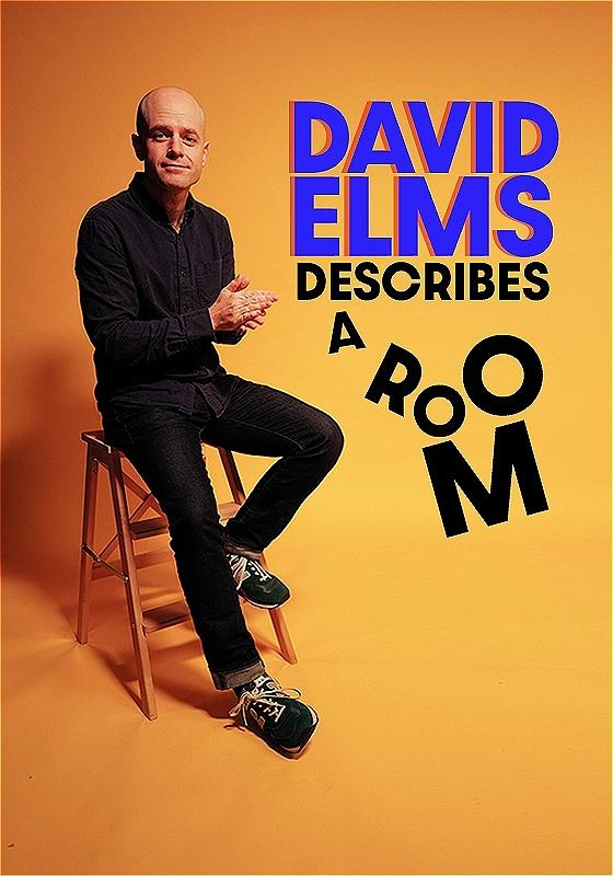 David sits on a stool looking cautiously at the camera. The title 'DAVID ELMS DESCRIBES A ROO M' stands next to him in a playful manner.