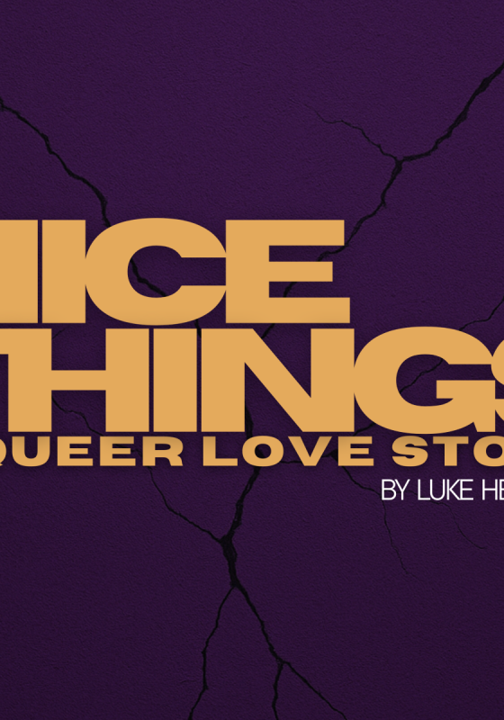 Nice Things: A Queer Love Story Text on a cracked background