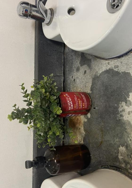 Plant by a bathroom sink