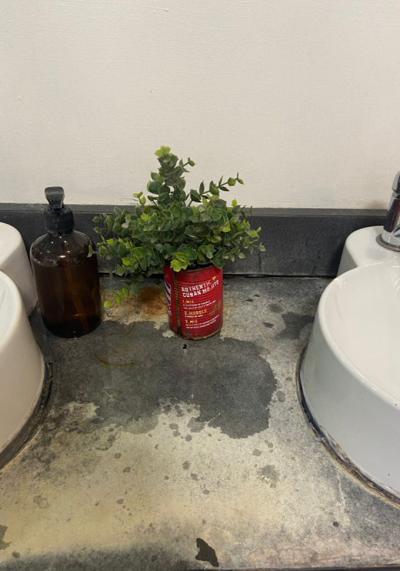 Plant by a bathroom sink.