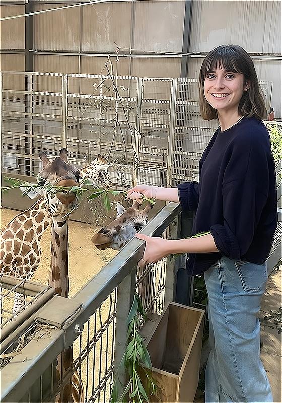 A person stands at a giraffe enclosure, feeding a giraffe leaves. They are smiling at the camera while the giraffe happily goes to town