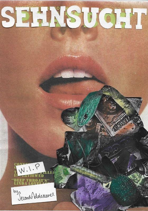A mouth open with tongue showing in front of a collage of a snake.