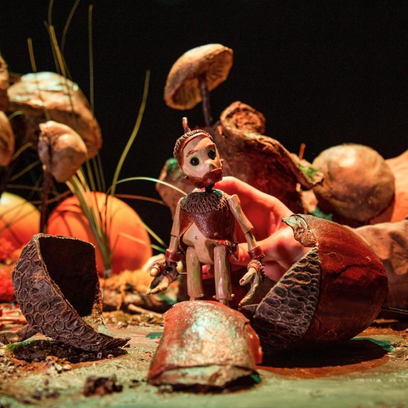 Acorn character standing amongst a broken acorn shell. 