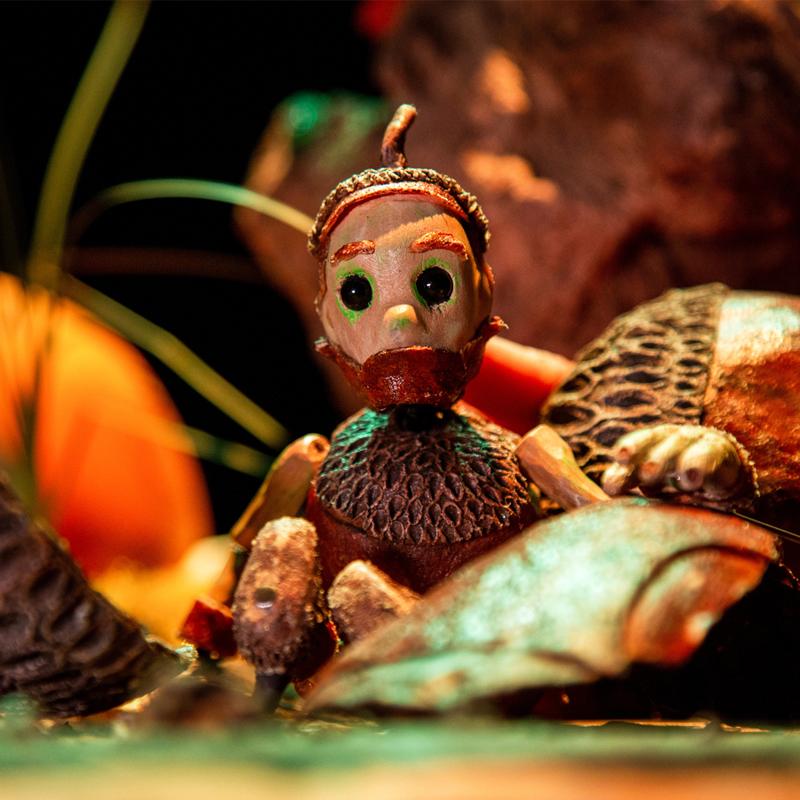 A little acorn character sitting in the shell of an acorn.