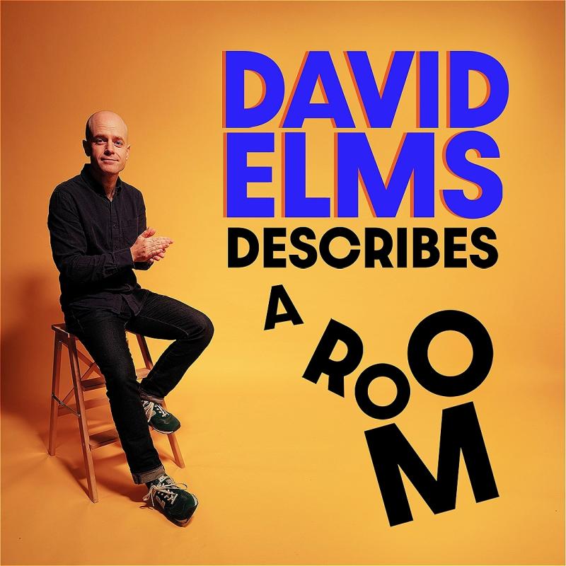David sits on a stool looking cautiously at the camera. The title 'DAVID ELMS DESCRIBES A ROO M' stands next to him in a playful manner.