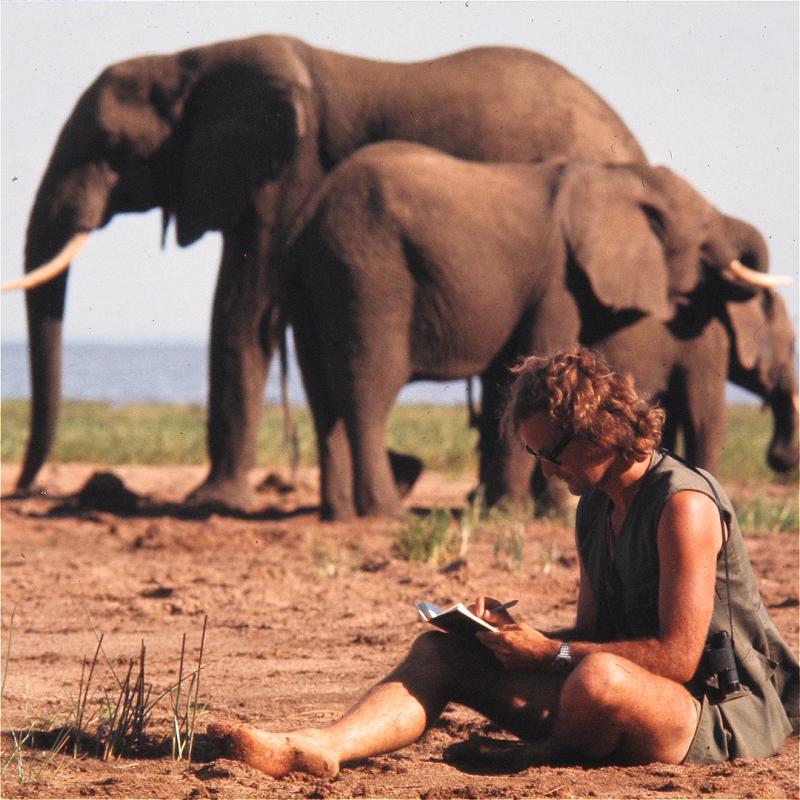 Elephant scientist Iain Douglas-Hamilton sits journaling in front of two elephants.