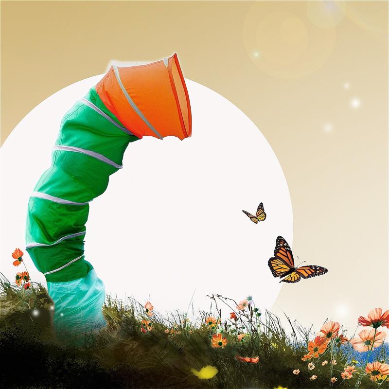 A curious creature peers out to see a sunny landscape with flowers and butterflies.