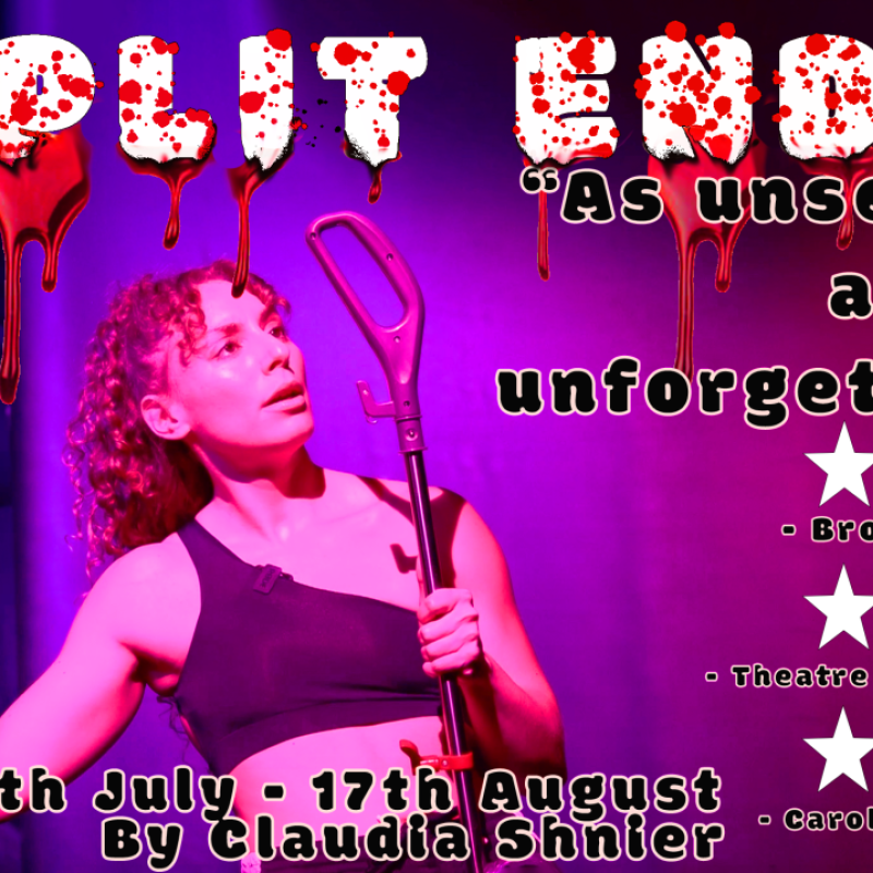 Woman dancing with a vacuum. Three sets of four stars. Text says "Split Ends (with blood dripping from the text), as unsettling as it is unforgettable, 30th July - 17th August By Claudia Shnier"