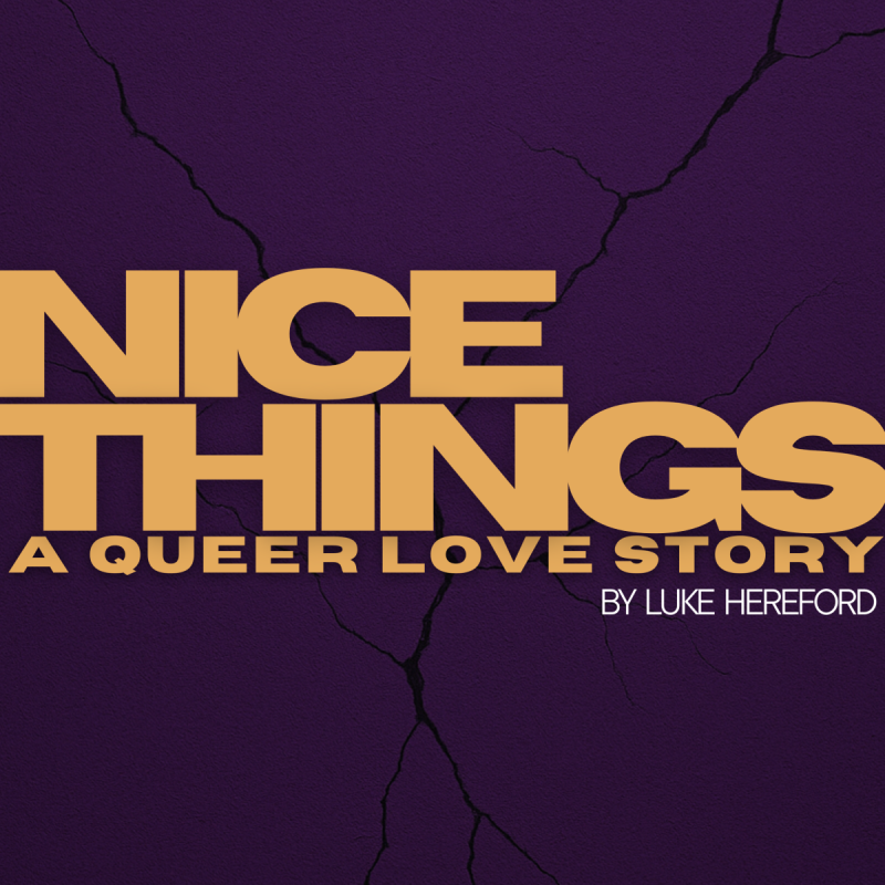 Nice Things: A Queer Love Story Text on a cracked background
