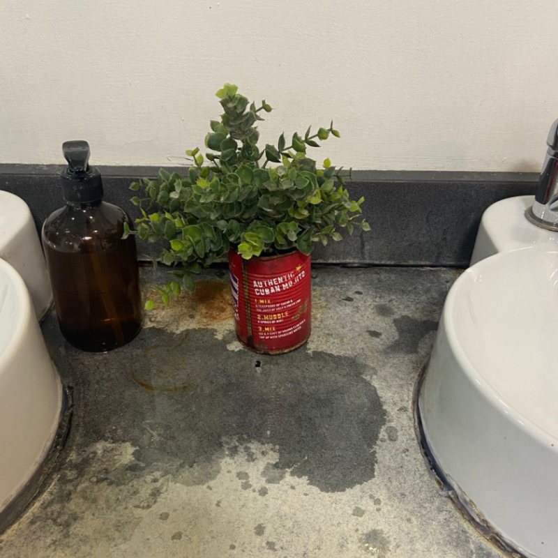 Plant by a bathroom sink