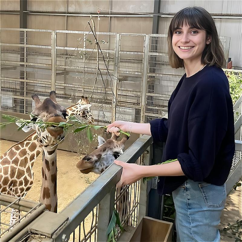 A person stands at a giraffe enclosure, feeding a giraffe leaves. They are smiling at the camera while the giraffe happily goes to town