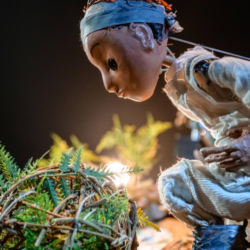 Puppet looking at a tumbleweed with a tumbleweed and lens flare.
