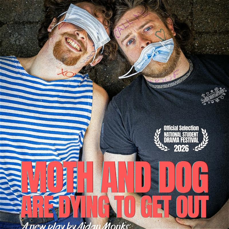 A bird's-eye view of two white men with messy brown hair and beards, lying down on a concrete floor. One of them is smiling and has a covid face mask over his eyes and the other one is eating his face mask. They both have colourful pen writing on their faces like the ones kids do in school. The title "Moth and dog are dying to get out" is written at the bottom of the picture in red letters.