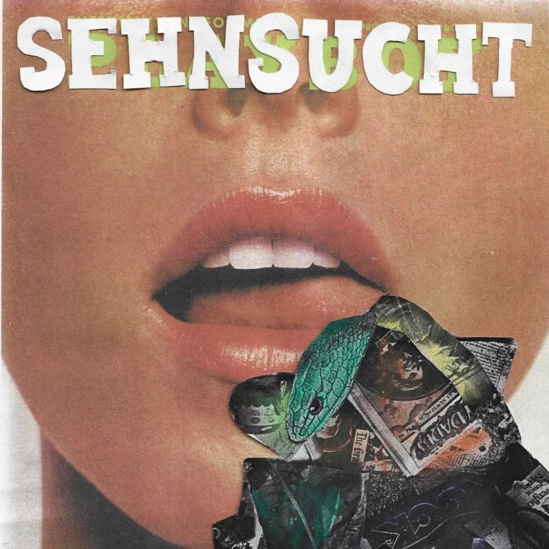 A mouth open with tongue showing in front of a collage of a snake.