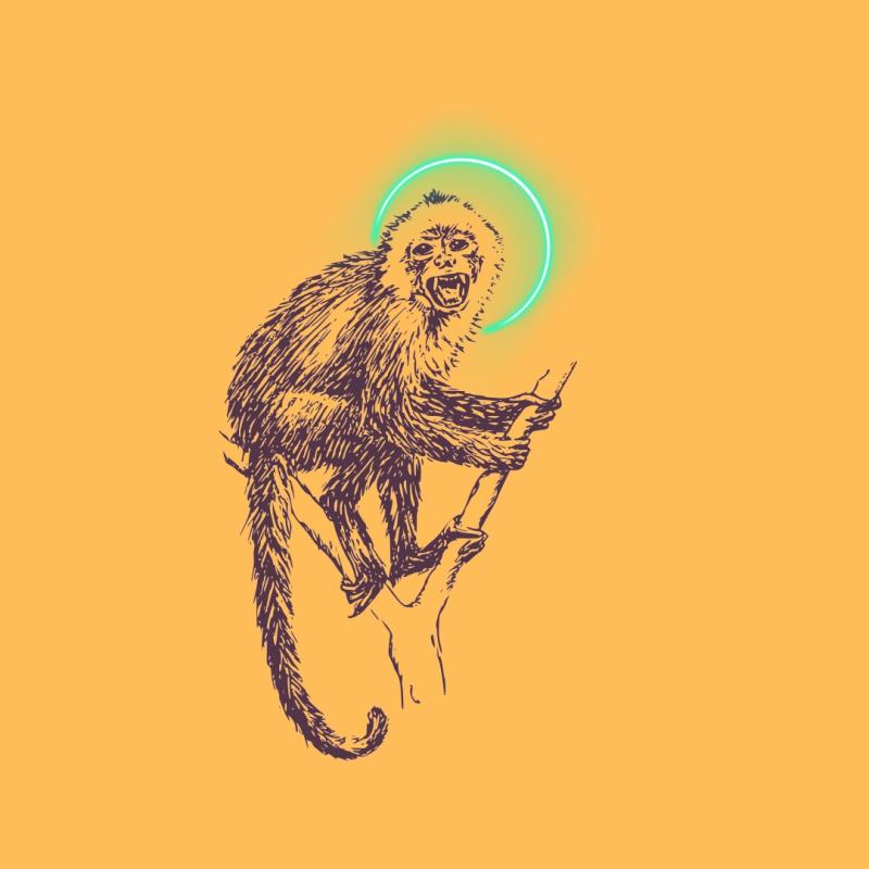A sketch of a monkey in between the branches of a tree against an orange background. There is a blue circle around the monkeys head. 